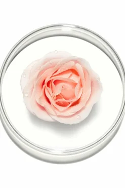Crème hydratante anti-stress Hydra Zen SPF15
