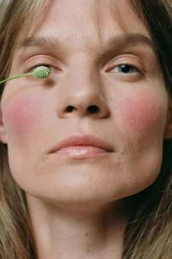 Fard à joues minéral Magnetic blush