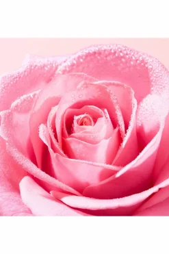 Gommage éclat visage Very Rose