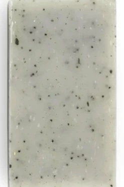 Savon solide exfoliant le Gecko