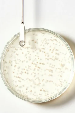 Shampoing antichute Triphasic