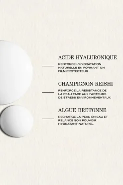 Sérum réhydratant adaptogène