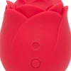 Stimulateur clitoridien succion Rose